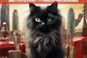 猫送人为何不吉利？——传统迷信与现代理性的交锋