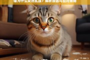 猫突然乱尿的原因解析及有效应对策略