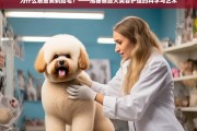 泰迪犬胎毛剃除的科学与艺术，美容护理背后的秘密