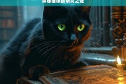 探秘猫眼睛明亮之谜，猫眼睛明亮的秘密