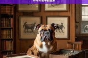 斗牛犬名字的由来，斗牛犬名称的起源