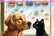 狗狗为什么不能吃猫粮？深入解析宠物饮食的差异与风险