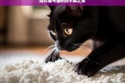 探究猫与猫砂的不解之缘，猫与猫砂的奇妙羁绊