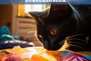 探究猫喜欢舔塑料袋的原因，猫为何喜欢舔塑料袋