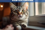 探究猫不喜欢人抱着的原因，猫为何不喜欢被人抱着