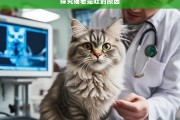 探究猫老是吐的原因，猫老是吐的原因探究