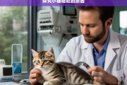 探究小猫呕吐的原因，小猫呕吐原因探究