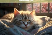 猫咪的睡眠之谜，探索猫咪的睡眠之谜