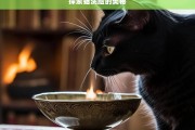 探索猫洗脸的奥秘，猫洗脸奥秘探索