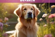 金毛犬温顺之谜，金毛犬温顺的秘密