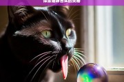 探索猫咪舌头的奥秘，猫咪舌头的奥秘探索