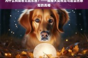 揭秘犬类视觉与超自然感知，为什么狗能看见脏东西？