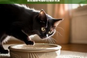 探究猫咪与猫砂的奇妙关系，猫咪与猫砂的奇妙关联探究