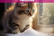 小猫与盐的奥秘，小猫与盐的奥秘探索