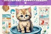 为什么小猫不爱喝水？揭秘猫咪饮水习惯背后的科学