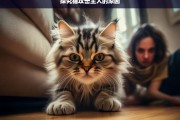 探究猫攻击主人的原因，猫为何攻击主人