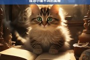 探寻小猫不叫的奥秘，小猫为何不叫之奥秘探寻