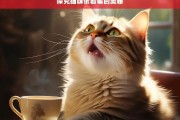 探究猫咪张着嘴的奥秘，猫咪张嘴奥秘探究