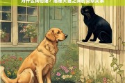 犬猫关系揭秘，为什么狗会怕猫？