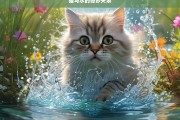 猫与水的奇妙关系，猫与水的奇妙关联