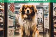 宠物店狗狗价格高昂的背后，成本与价值的深度解析