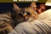 揭秘，猫为什么喜欢跟人睡觉，猫喜欢跟人睡觉的原因揭秘