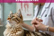 关于母猫绝育的深入探讨，母猫绝育面面观