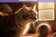 探究猫喜欢吃头发的原因，猫为何喜欢吃头发