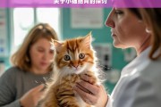 关于小猫绝育的探讨，小猫绝育之探讨