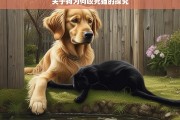 关于狗为何咬死猫的探究，狗为何咬死猫之探究