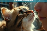 探索猫咪喜欢蹭脸的奥秘，猫咪为何喜欢蹭脸的奥秘探索