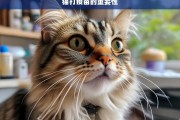 猫打疫苗的重要性，猫打疫苗，重要性不可忽视