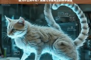 猫为何摔不死？揭秘九命猫背后的科学原理