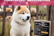 白色秋田犬价格低廉的原因及市场现状解析