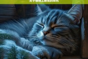 关于猫晚上睡觉的探究，猫的夜间睡眠之谜