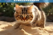 关于猫抓沙发现象的深度剖析，猫抓沙发现象剖析