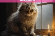 解读猫咪抑郁之谜，猫咪抑郁之谜解读