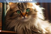 猫咪摇头的奥秘，猫咪摇头的背后奥秘