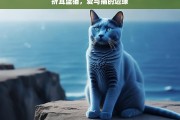 折耳蓝猫，爱与痛的边缘，折耳蓝猫，爱与痛的交织