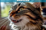 猫咪舔毛的奥秘，猫咪舔毛的奥秘探究