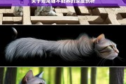 关于短尾猫不能养的深度剖析，短尾猫为何不能养之深度剖析