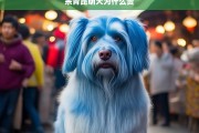 昆明犬价格高昂的原因解析，余青昆明犬为何如此珍贵