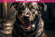 解读恶霸犬，名称背后的故事，恶霸犬名称背后的故事解读