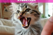 关于猫咪咬人的探究，猫咪咬人的原因与对策探究