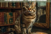 揭秘猫咪独特性格，行为背后的科学解析