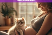 养猫与怀孕的关系探讨，养猫与怀孕，关系究竟如何