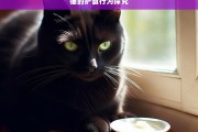 猫的护食行为探究，猫的护食行为解析