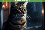 探究猫半夜叫的原因，猫半夜叫的原因探究