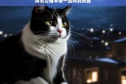 探究公猫半夜一直叫的原因，公猫半夜一直叫的原因探究