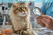 关于猫得疥螨的探究，猫疥螨探究